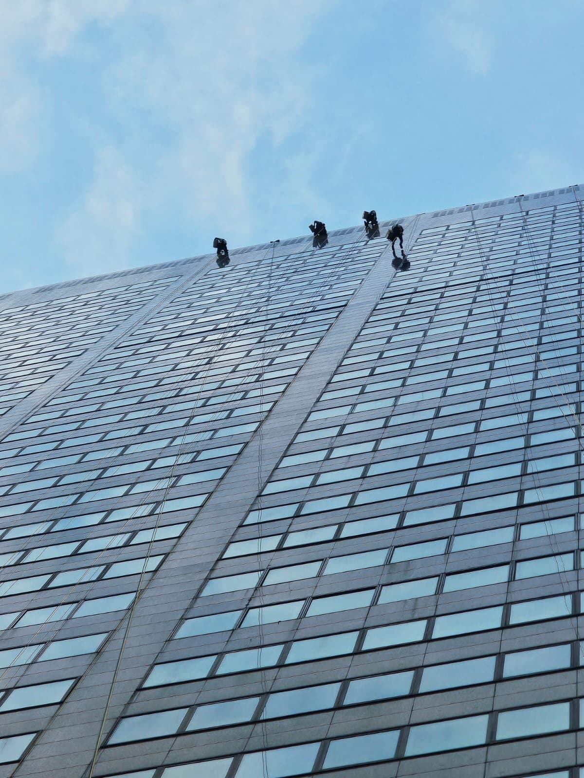 Four Hydroseal IRATA rope-access technicians abseiling and carrying out façade sealant works on a glass high-rise residential tower against a clear blue sky in Singapore