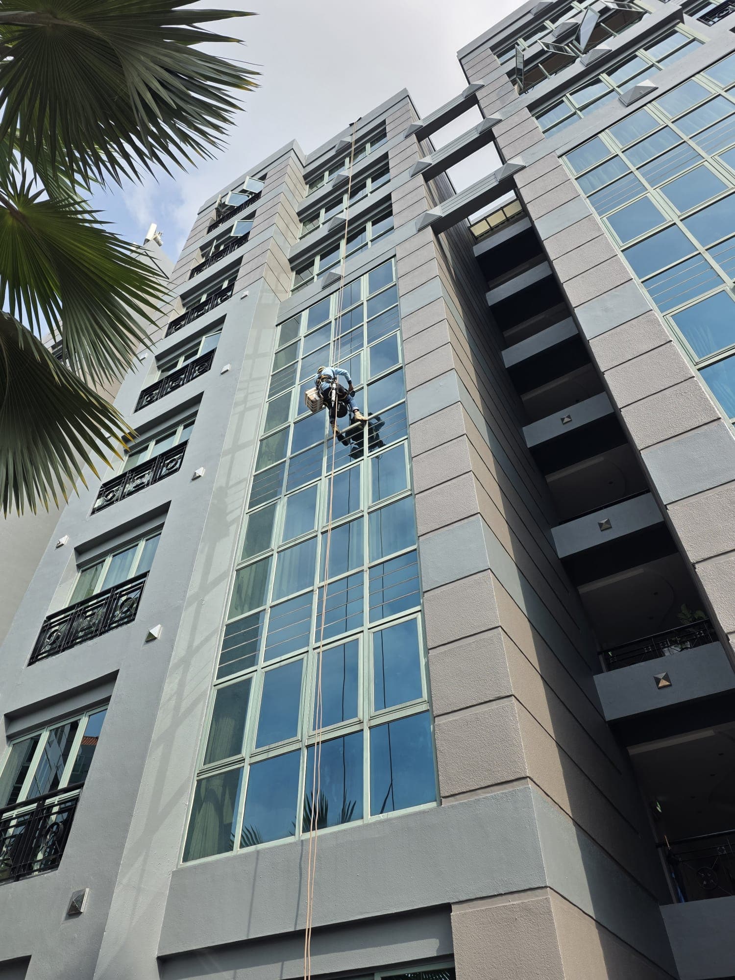 Hydroseal IRATA rope-access technician resealing window frames on a Singapore high-rise glass facade